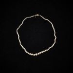 1423 3510 PEARL NECKLACE
